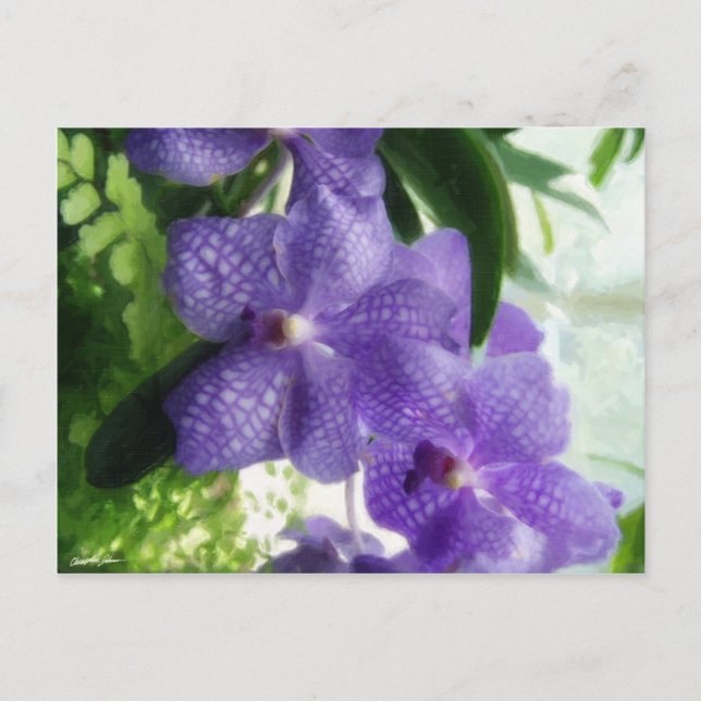 Blue Orchids Painterly Vykort (Framsida)