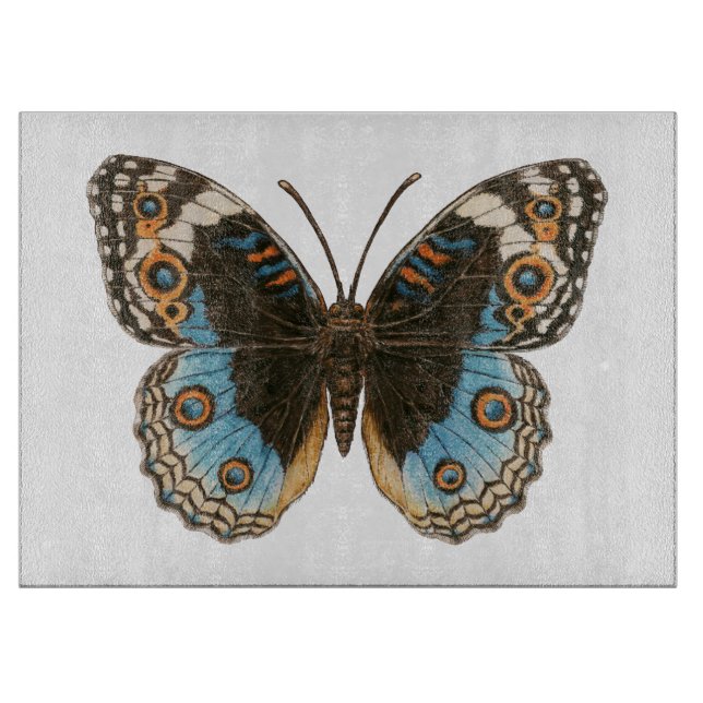 Blue Pansy Butterfly (Framsidan)