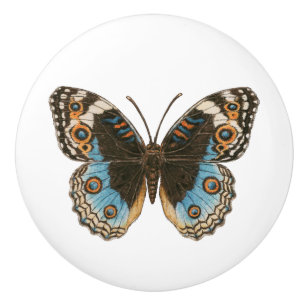Blue Pansy Butterfly Knopp