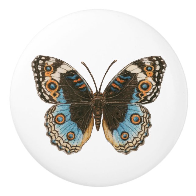 Blue Pansy Butterfly Knopp (Framsidan)