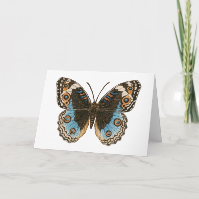 Blue Pansy Butterfly Kort (Framsida)