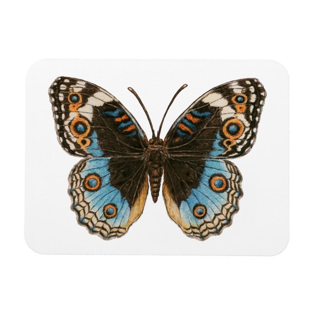 Blue Pansy Butterfly Magnet (Horisontell)