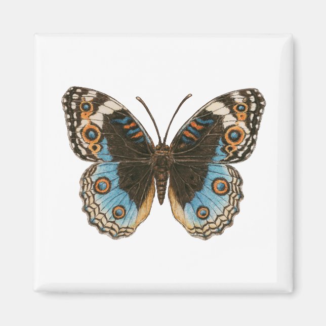 Blue Pansy Butterfly Magnet (Framsidan)