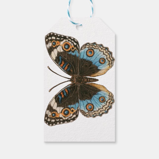 Blue Pansy Butterfly Presentetikett (Baksidan)
