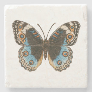 Blue Pansy Butterfly Stenunderlägg