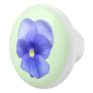 Blue Pansy on Mint - Drag av låda Knopp