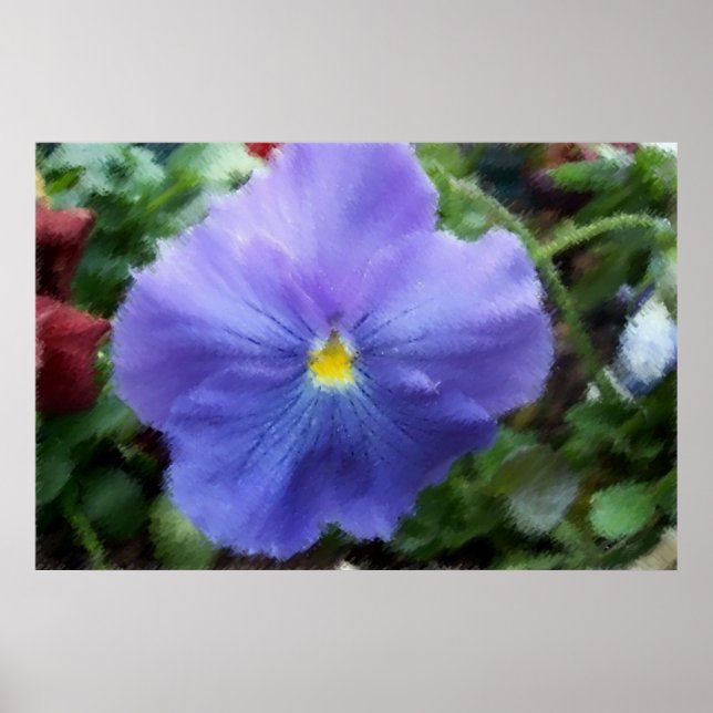 Blue Pansy Soft Sketch Poster (Framsidan)