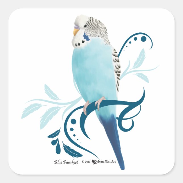 Blue Parakeet Fyrkantigt Klistermärke (Framsida)