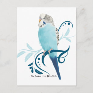 Blue Parakeet Vykort