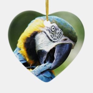Blue Parrot Julgransprydnad Keramik