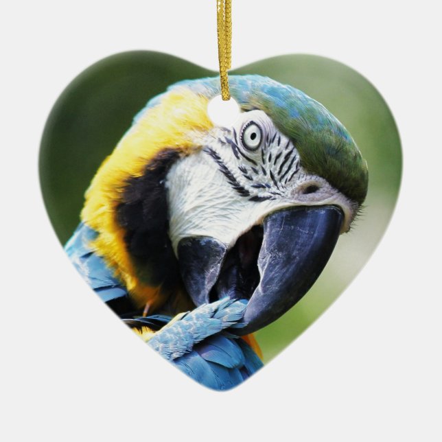 Blue Parrot Julgransprydnad Keramik (Framsidan)