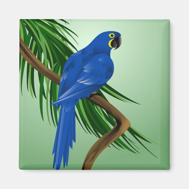 Blue Parrot Magnet (Framsidan)