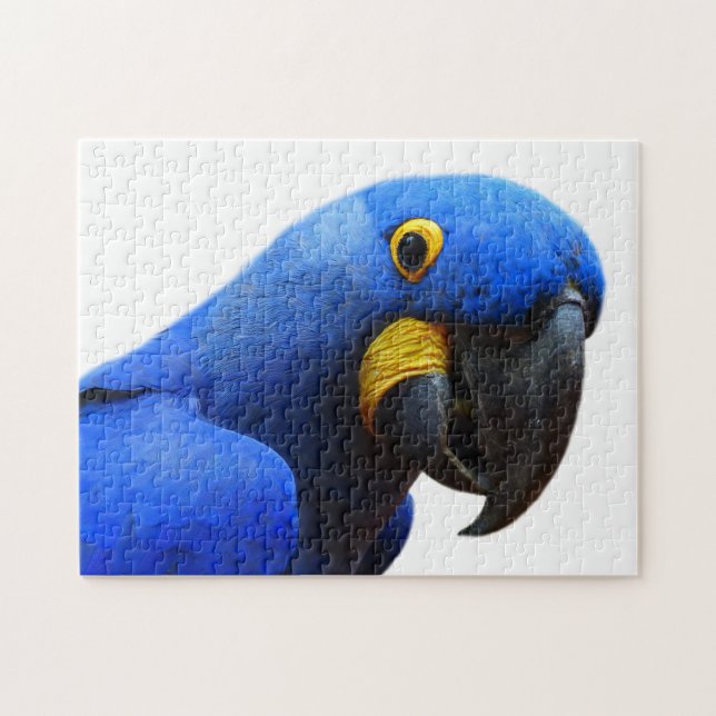 Blue Parrot Photography Pussel (Horisontell)