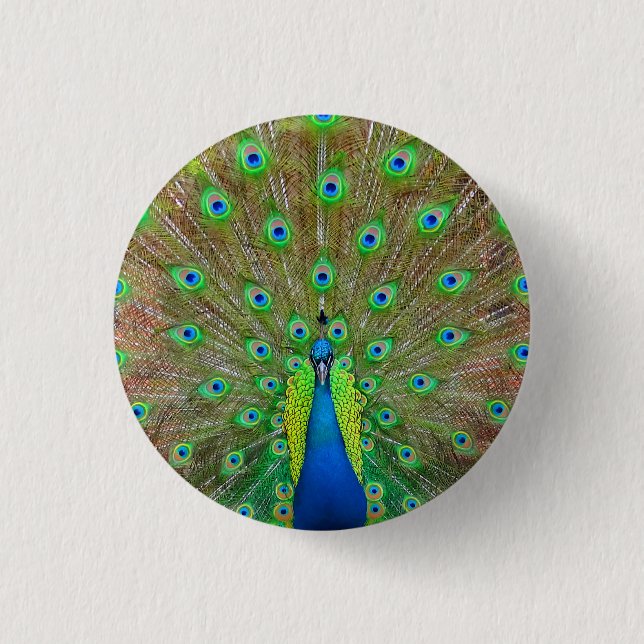 Blue Peacock #3-knapp Knapp (Framsida)
