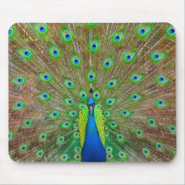 Blue Peacock #3 Mus Pad Musmatta
