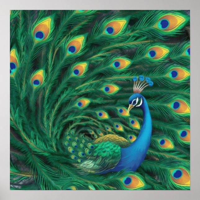 Blue Peacock Bird Poster (Framsidan)