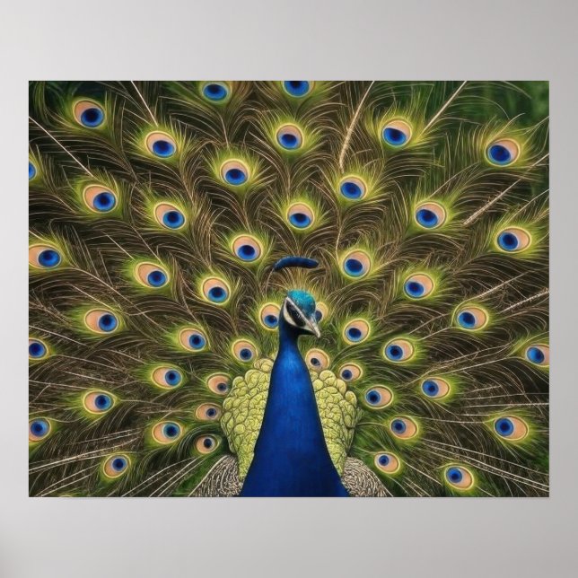 Blue Peacock Poster (Framsidan)