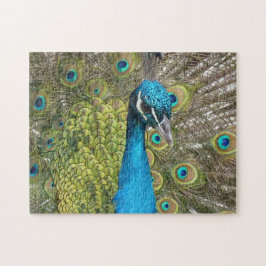 Blue Peacock Puzzle Pussel