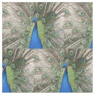 Blue Peacock Tyg