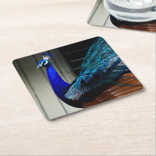Blue Peacock Underlägg Papper Kvadrat