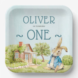 Blue Peter Rabbit Boy First Birthday