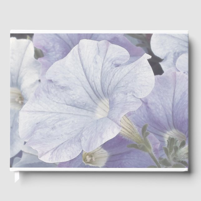 Blue Petunia Blommar Gästböcker (Framsida)