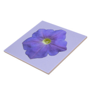 Blue Petunia Tile Kakelplatta