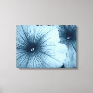 Blue Petunias Canvastryck
