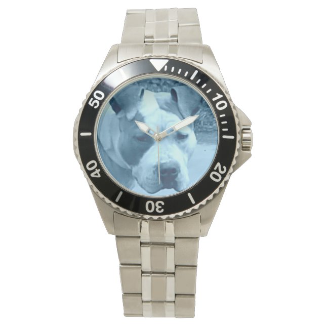 Blue Pit Bull Watch Armbandsur (Framsida)