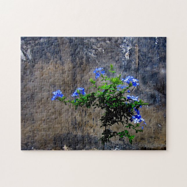 Blue Plumbago Flower Pussel (Horisontell)