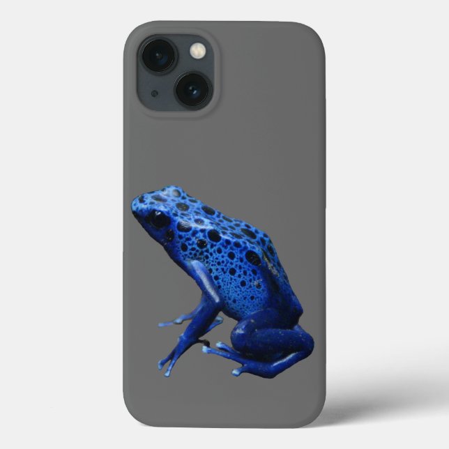 Blue Poison Dart Frog (Baksida)