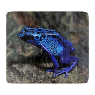 Blue Poison Dart Frog, Bright Blue Frog