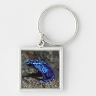 Blue Poison Dart Frog, Bright Blue Frog Fyrkantig Silverfärgad Nyckelring