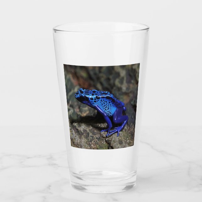 Blue Poison Dart Frog, Bright Blue Frog Glaskopp (Framsida)