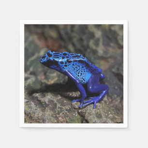 Blue Poison Dart Frog, Bright Blue Frog Pappersservett