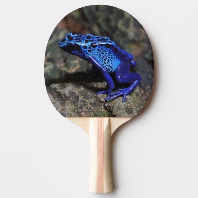 Blue Poison Dart Frog, Bright Blue Frog Pingisracket (Framsidan)
