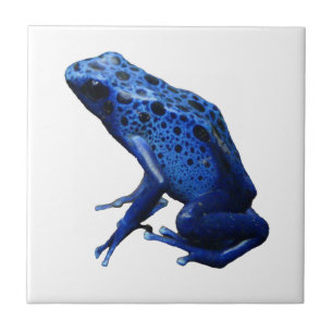 Blue Poison Dart Frog Kakelplatta