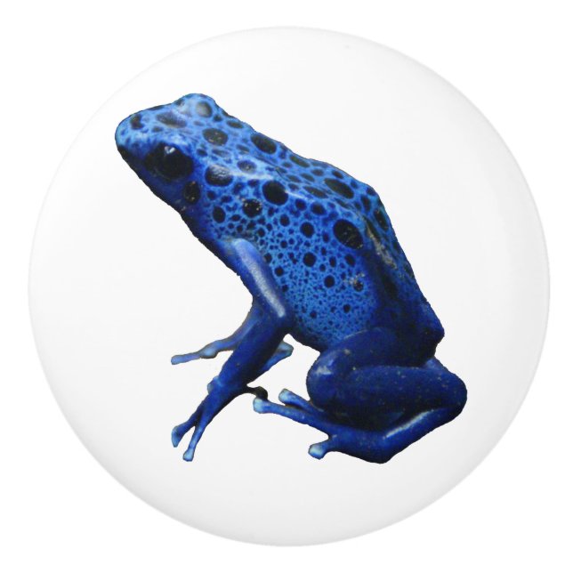 Blue Poison Dart Frog Knopp (Framsidan)