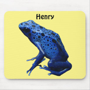 Blue Poison Dart Frog Musmatta