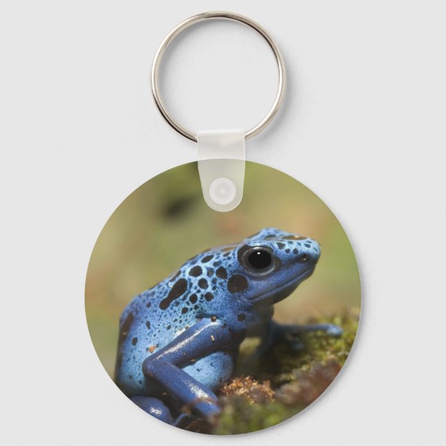Blue Poison Dart Frog Nyckelring (Framsida)