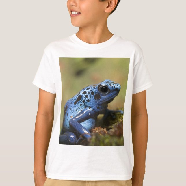 Blue Poison Dart Frog Tee Shirt (Framsida)