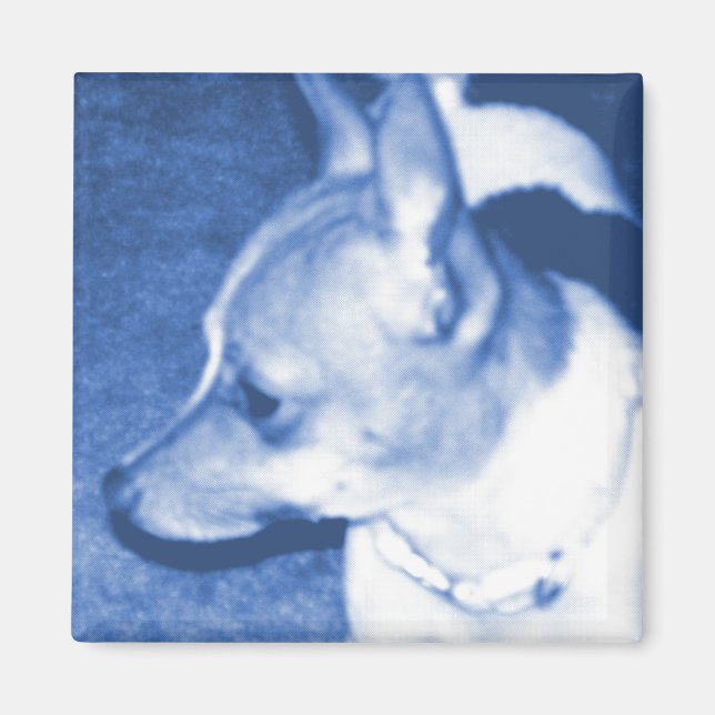 Blue Pop Art Chihuahua Magnet (Framsidan)