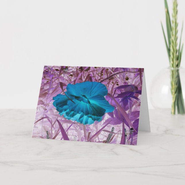 "Blue Poppy" Digitalt Editally Photo: Flower, Gras Kort (Framsida)