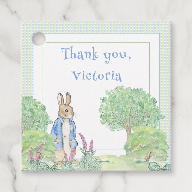 Blue Rabbit Gingham Tack Baby Shower Gåvor Etiketter (Framsida)