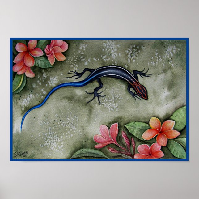 Blue Racer Skink Poster (Framsidan)