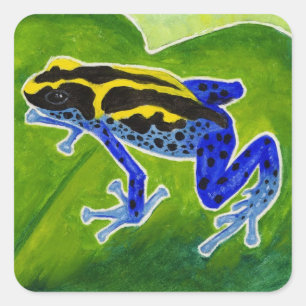 Blue Rainforest Frog Fyrkantigt Klistermärke