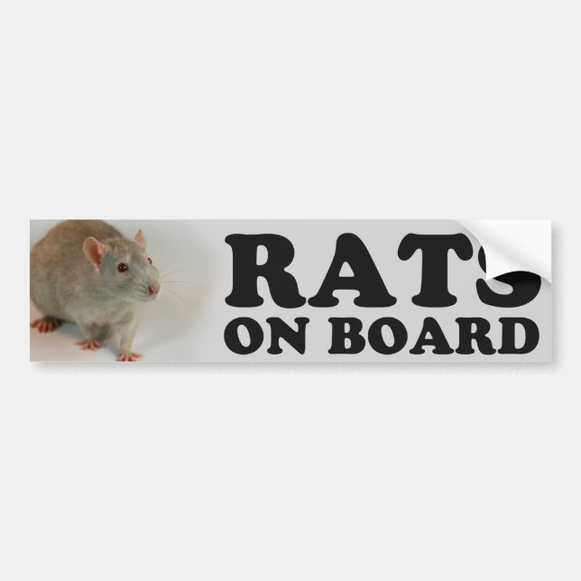 (Blue) Rats on board Bildekal (Framsidan)