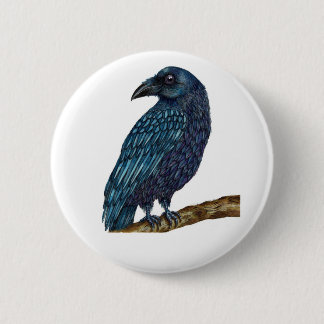 Blue Raven bird badge Knapp