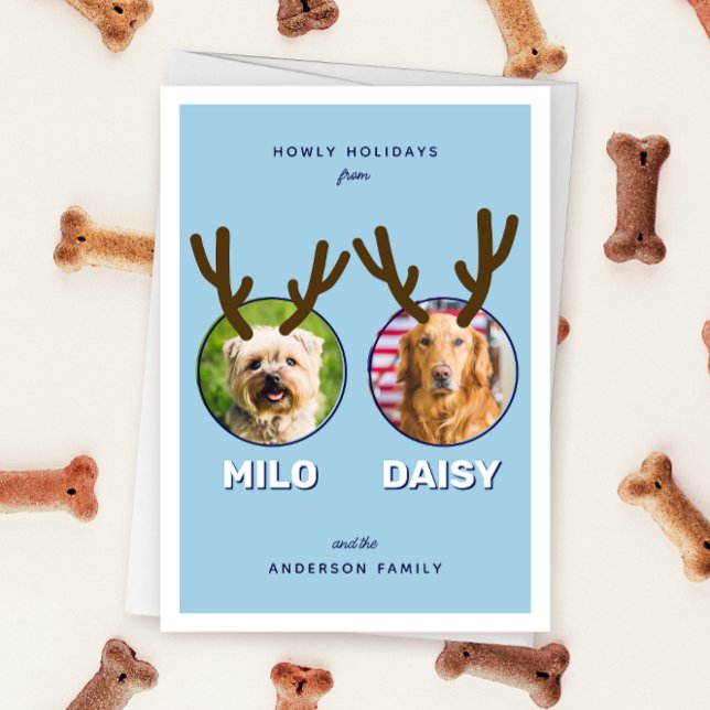 Blue Reinpet 2 Photo Pet-julkort, Helgdag Card Julkort (blue two photo pet Christmas holiday card with message "Howly Holidays" with two sets of antlers)