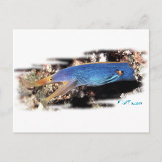 Blue Ribbon Eel Vykort